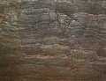 Панель Samplestone из натурального камня. Декор Burning Forest